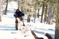 trineos-cerro-chapelco