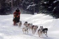 cerro-castor-trineos